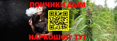 гашик Кулебаки