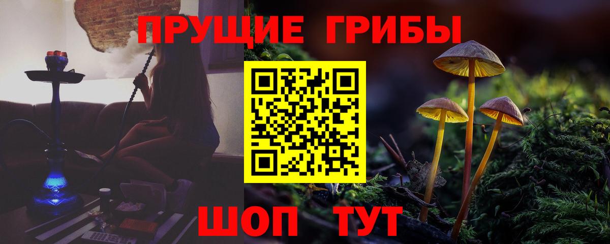 Псилоцибиновые грибы мицелий  Вход с VPN  Канаш 